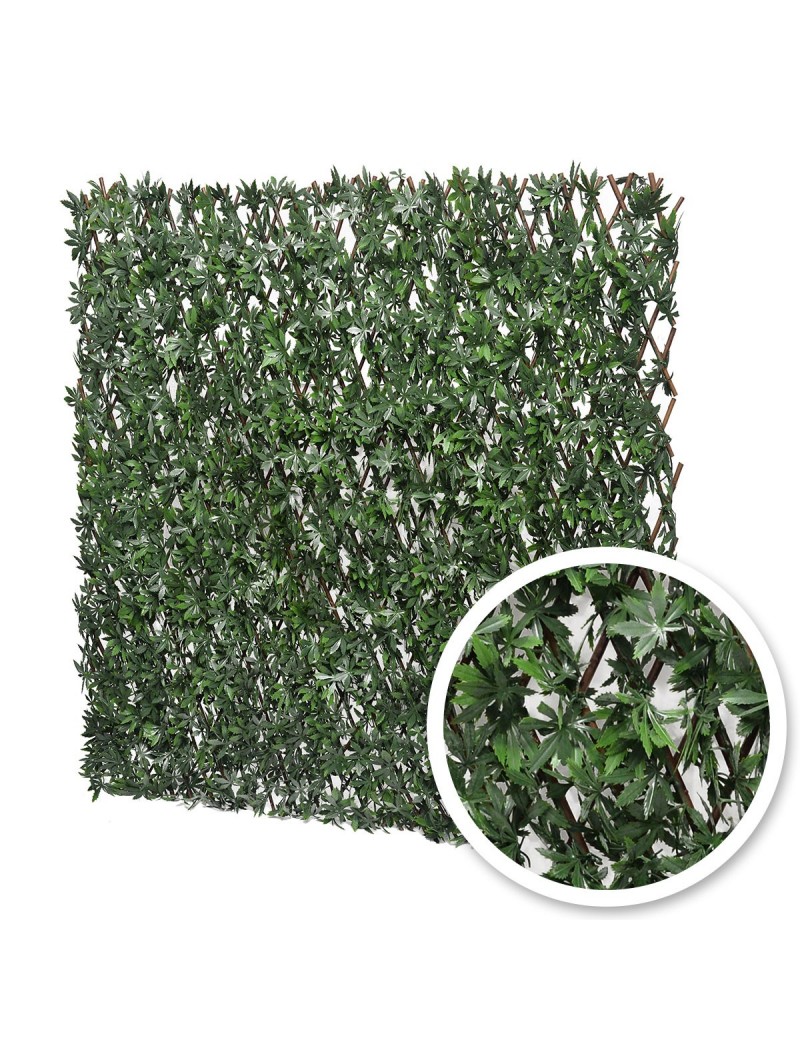 Treillis extensible en feuille de vigne vierge Treillis extensible en feuille de vigne vierge